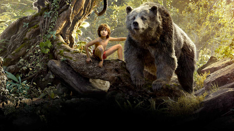 Illustration for article titled Estos son los ganadores de los Premios Oscar 2017